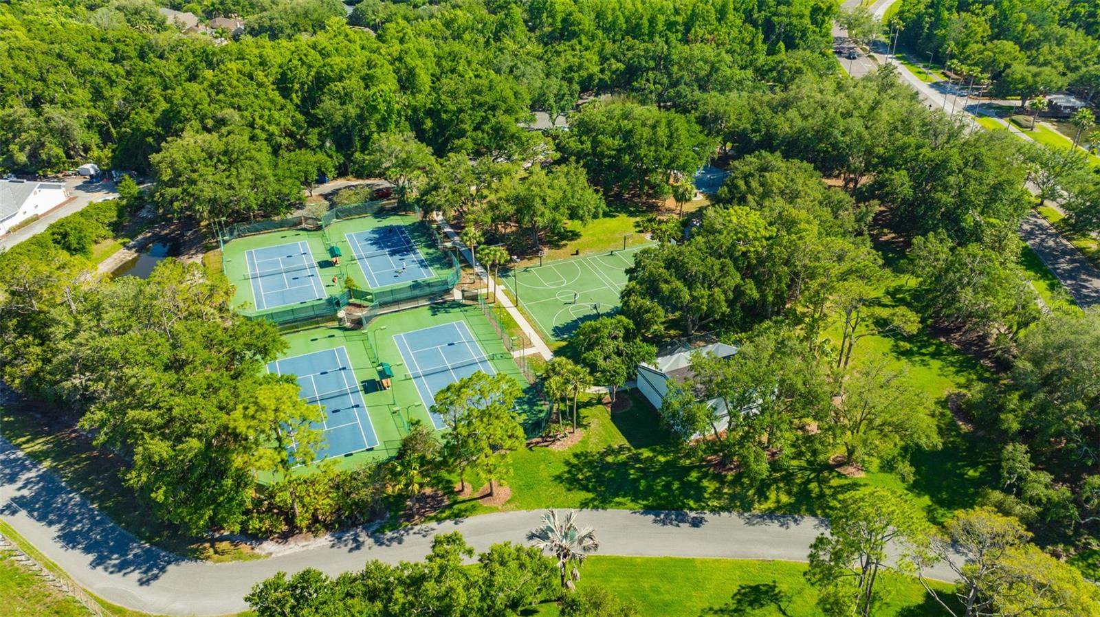TAMPA PALMS AREA 2 UNIT 5B - Residential