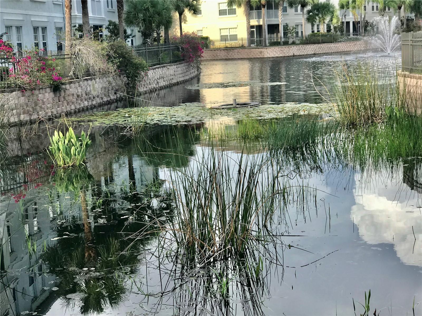 MAGNOLIA PARK PH 2 - Residential