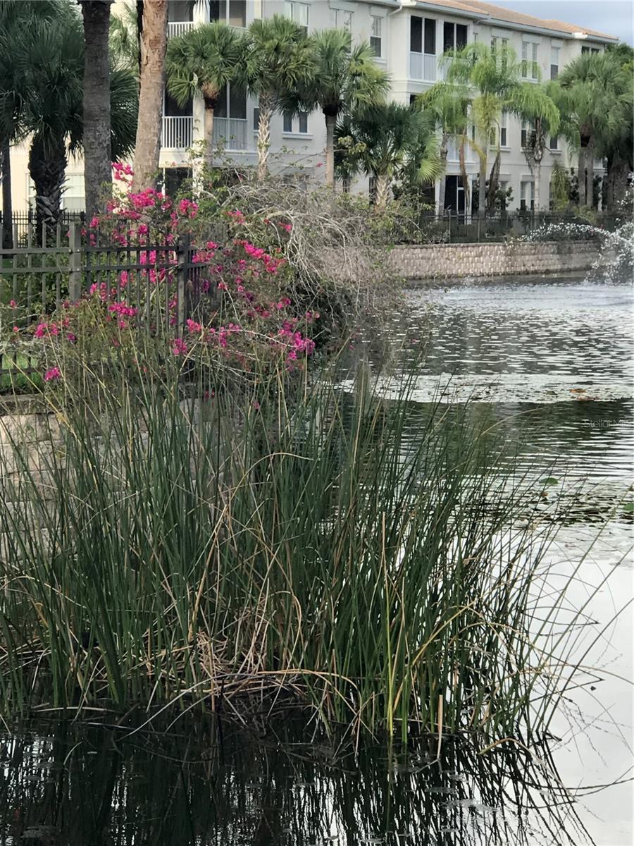 MAGNOLIA PARK PH 2 - Residential