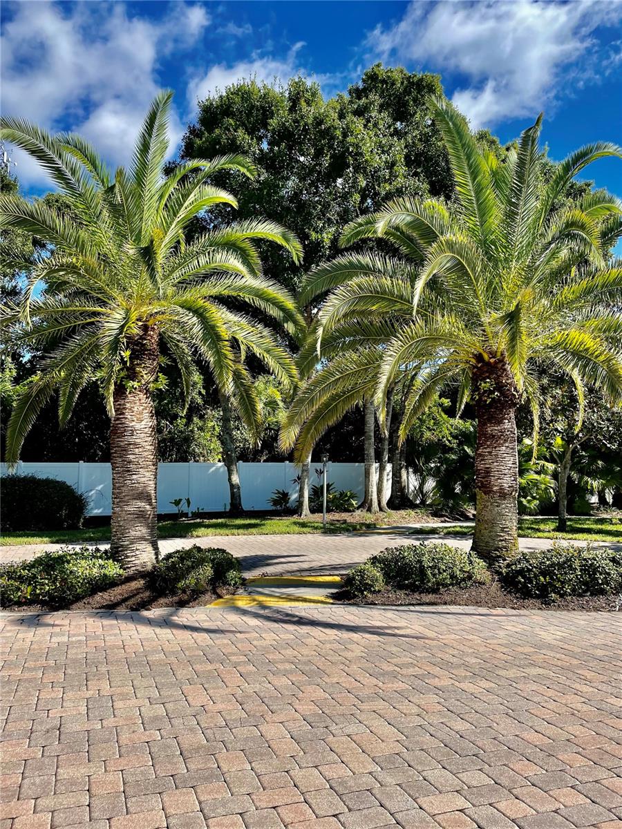 MAGNOLIA PARK PH 2 - Residential