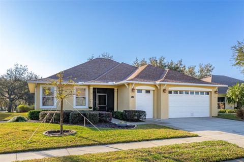 26622 BULL RUN LEESBURG FL 34748