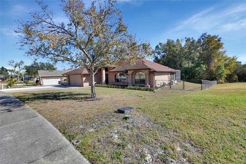 A home in DELTONA