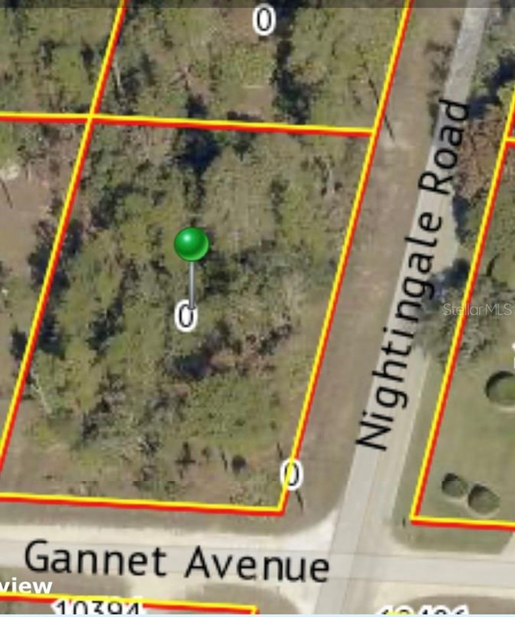 Photo of 9021 Nightingale Road, Weeki Wachee, FL 34613 (MLS # TB8440748)
