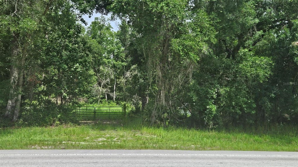 Photo of 0 Cobb Road, Brooksville, FL 34601 (MLS # W7886288)