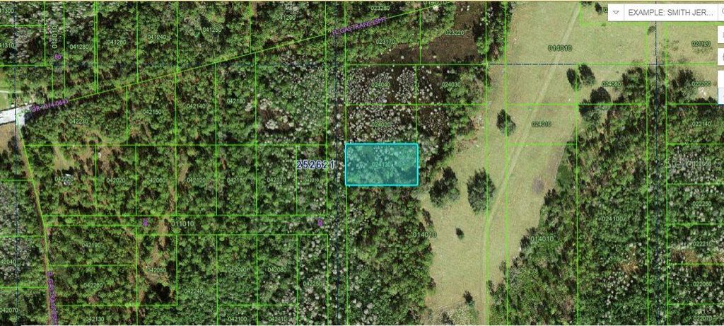 Photo of Commonwealth Ave N, Polk City, FL 33868 (MLS # O6264427)
