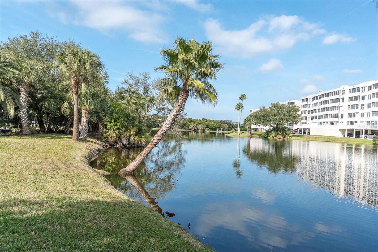 SHORES OF LONG BAYOU CONDO - Residential