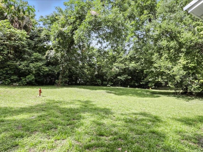 ORIGINAL NEWBERRY - Residential