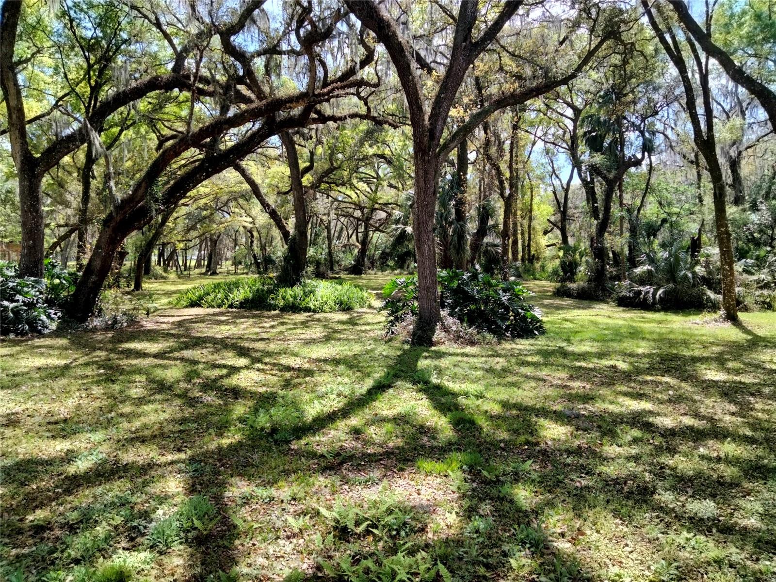 DANIELS ACRES PLATTED SUB - Residential