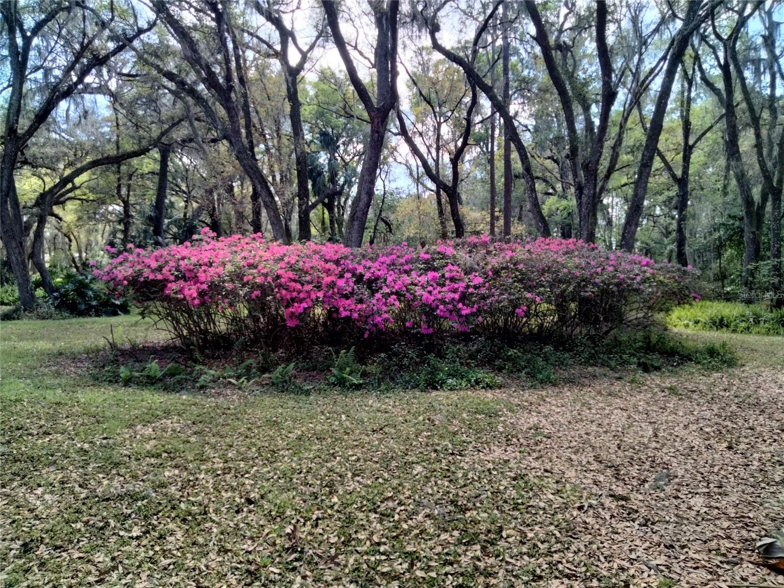 DANIELS ACRES PLATTED SUB - Residential