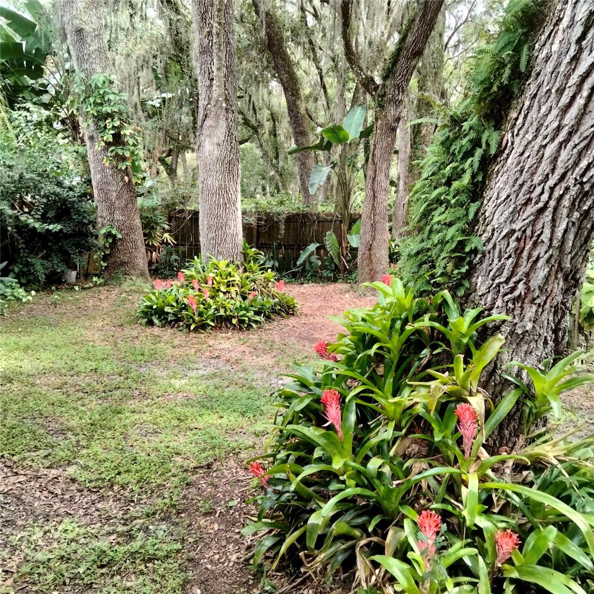 DANIELS ACRES PLATTED SUB - Residential