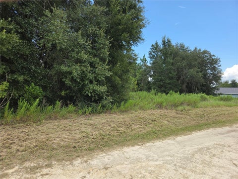 Tiny photo for 0 SW 144th Court, Ocala, FL 34481 (MLS # FC321848)