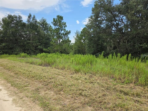 Photo of 0 SW 144th Court, Ocala, FL 34481 (MLS # FC321848)