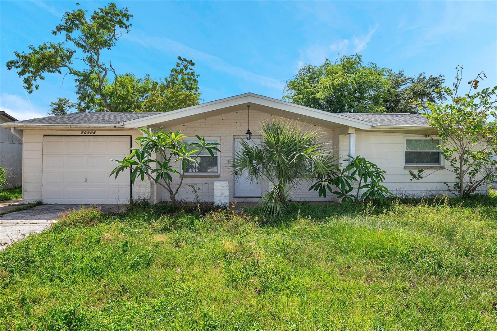 10125 CHERRY CREEK LANE