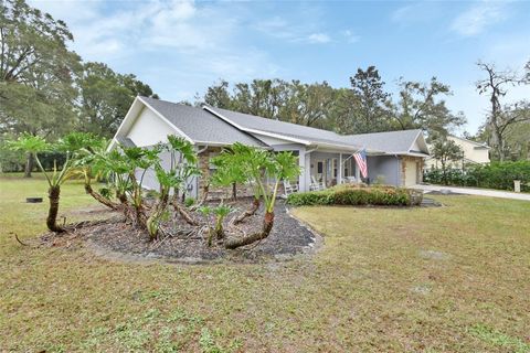 A home in DELAND