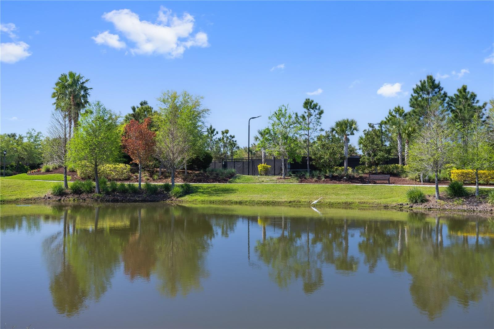 ESPLANADE/STARKEY RANCH PH 1 - Residential