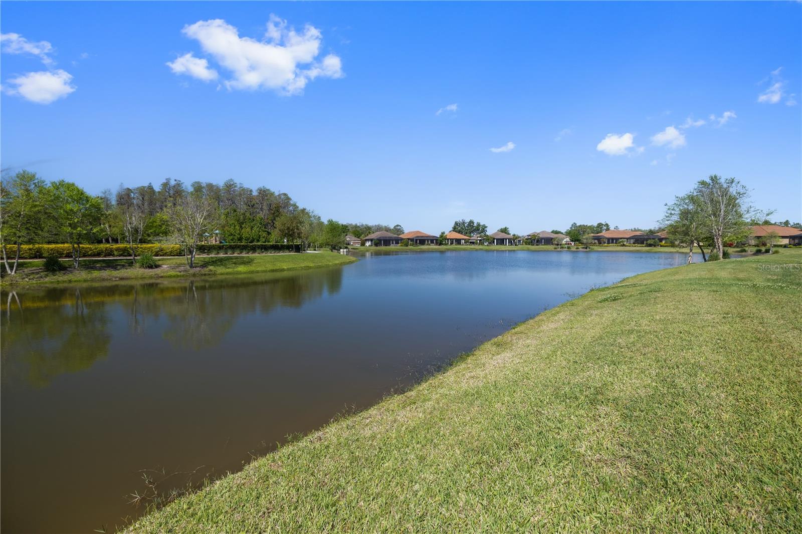 ESPLANADE/STARKEY RANCH PH 1 - Residential