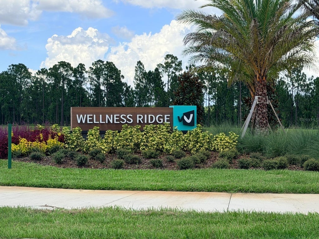 Photo of 6048 Zen Way, Clermont, FL 34714 (MLS # O6436580)