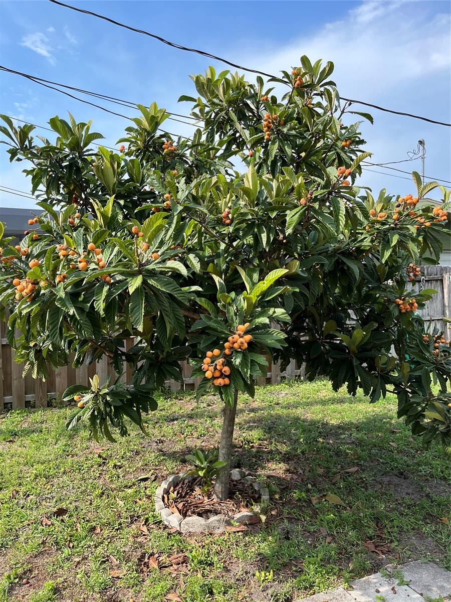 Oak Lea Village Sec 02 - Residential