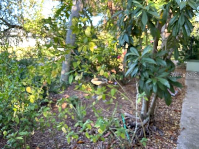 PORT CHARLOTTE SEC 051 - Residential