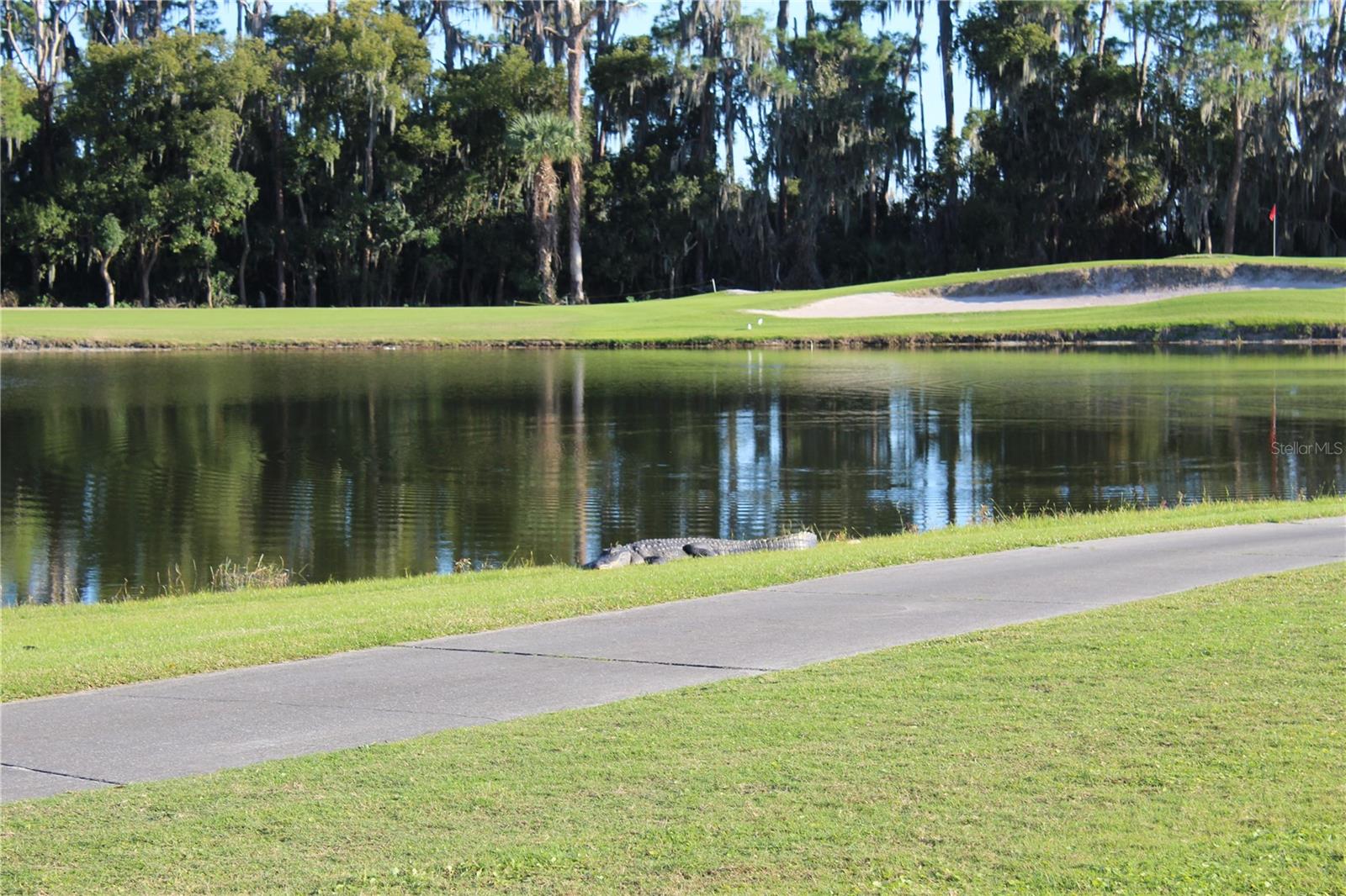 DEER ISLAND CLUB PT REP A TR C-1 - Residential