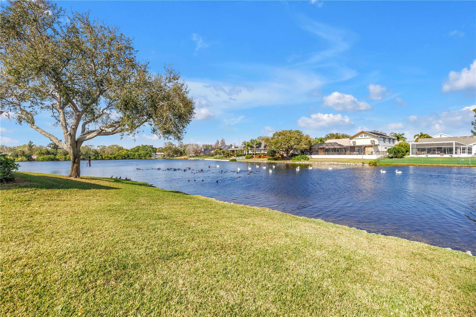 RIVIERA BAY 1ST ADD - Residential