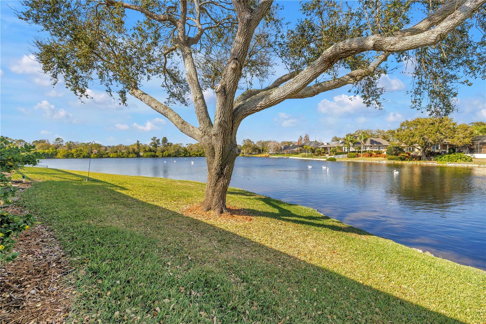 RIVIERA BAY 1ST ADD - Residential