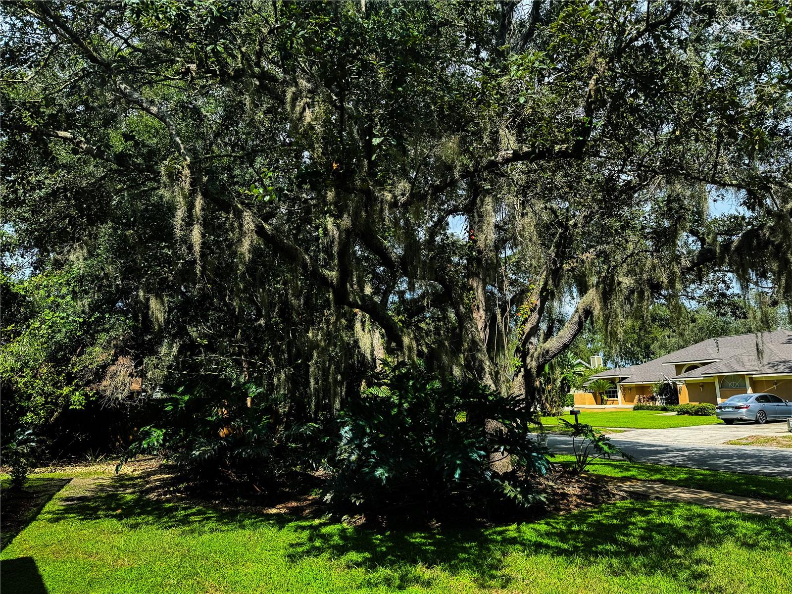 Photo 9 of 69 of 1780 OTISCO WAY house