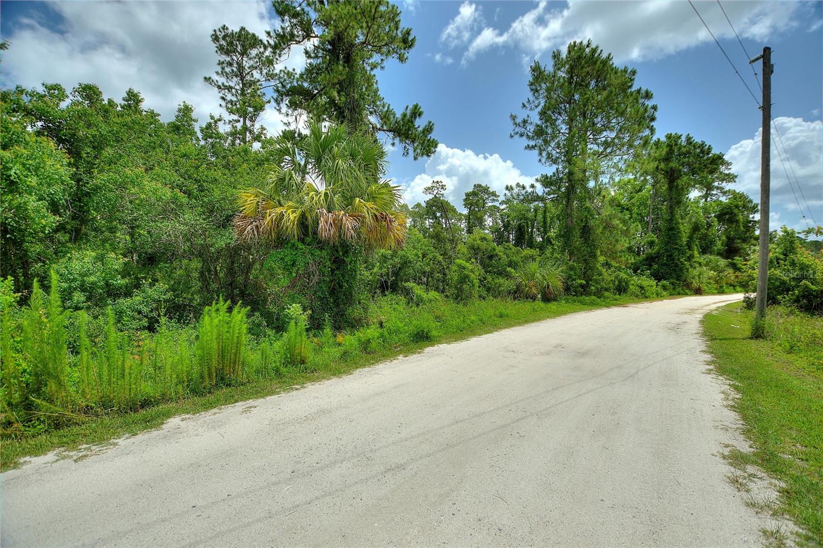 3989 CRESTHILL LANE
