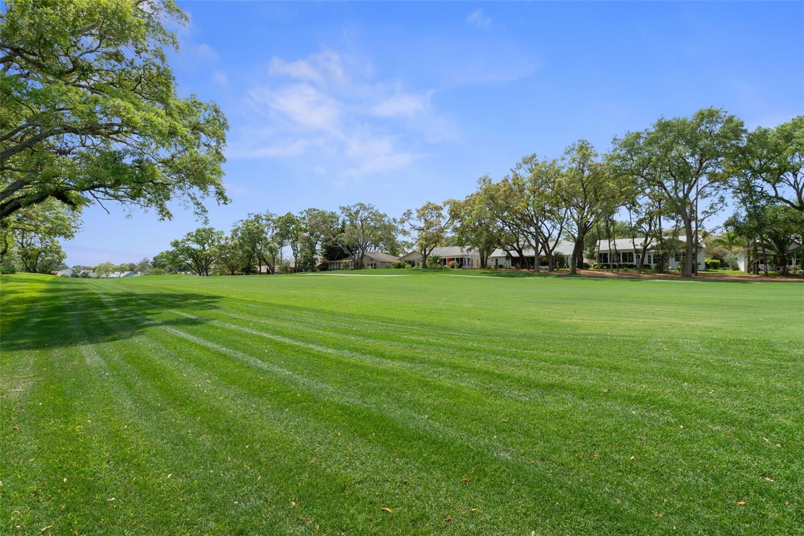 TIMBER PINES - Residential