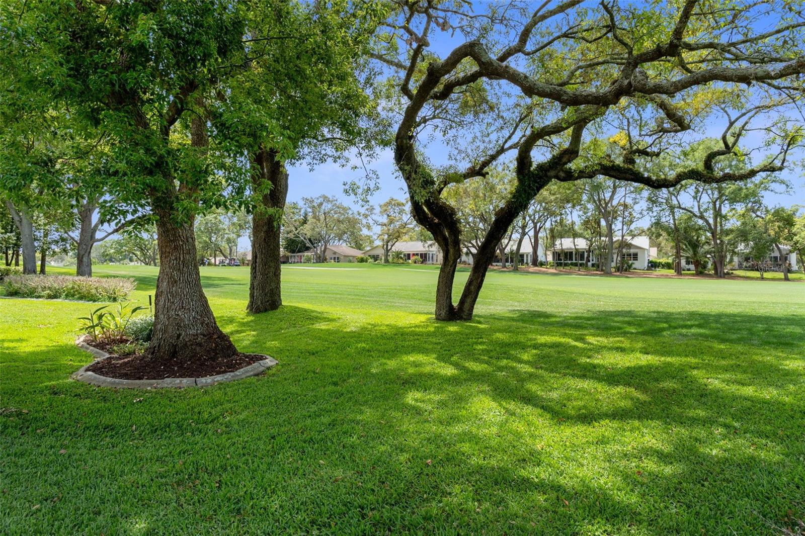 TIMBER PINES - Residential