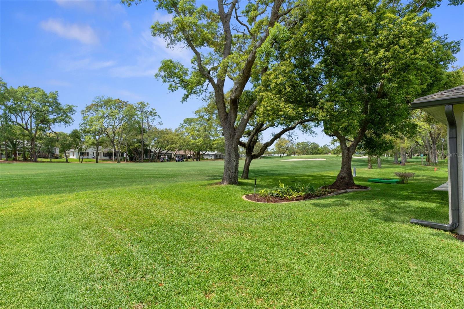 TIMBER PINES - Residential