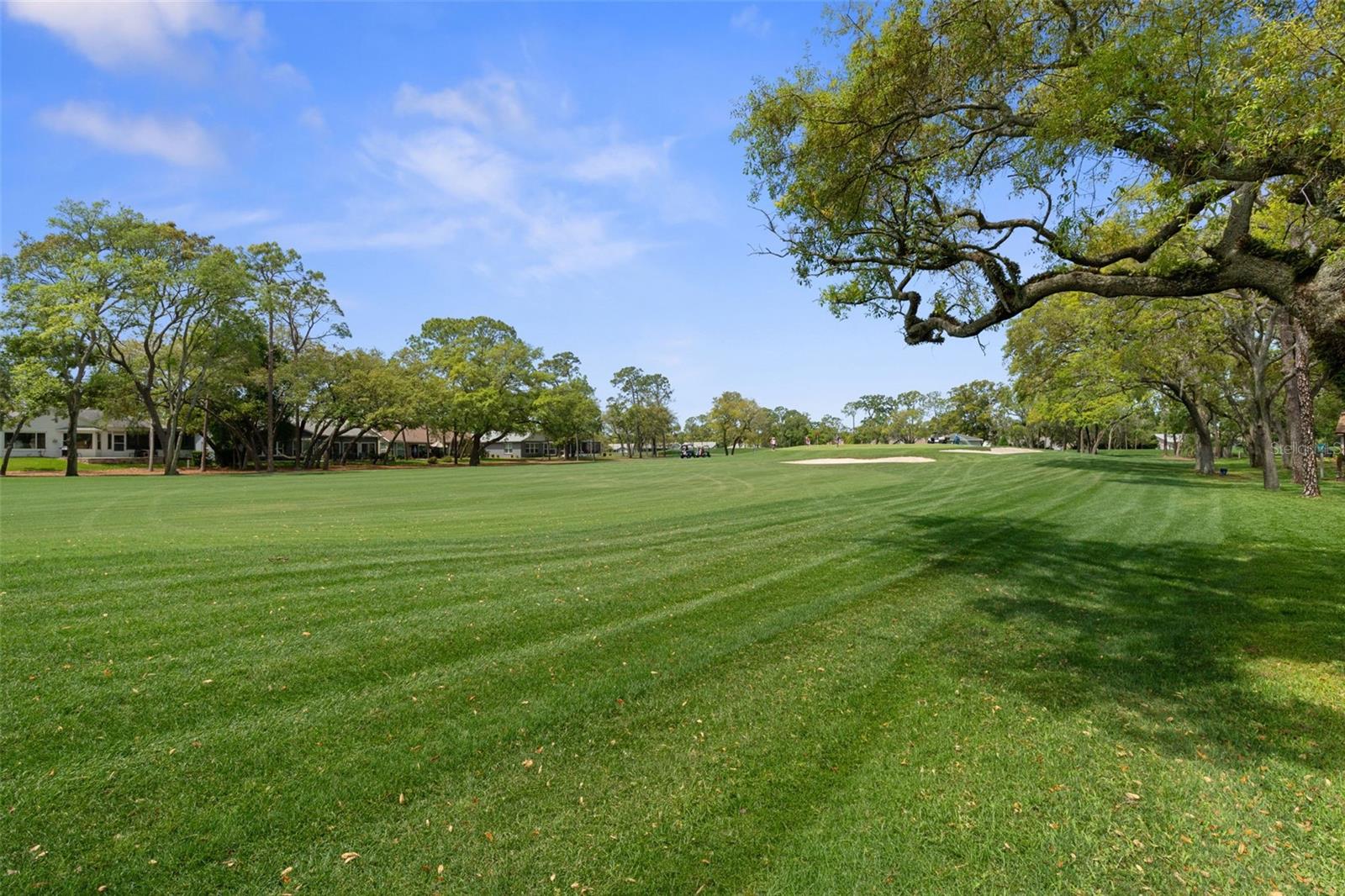 TIMBER PINES - Residential