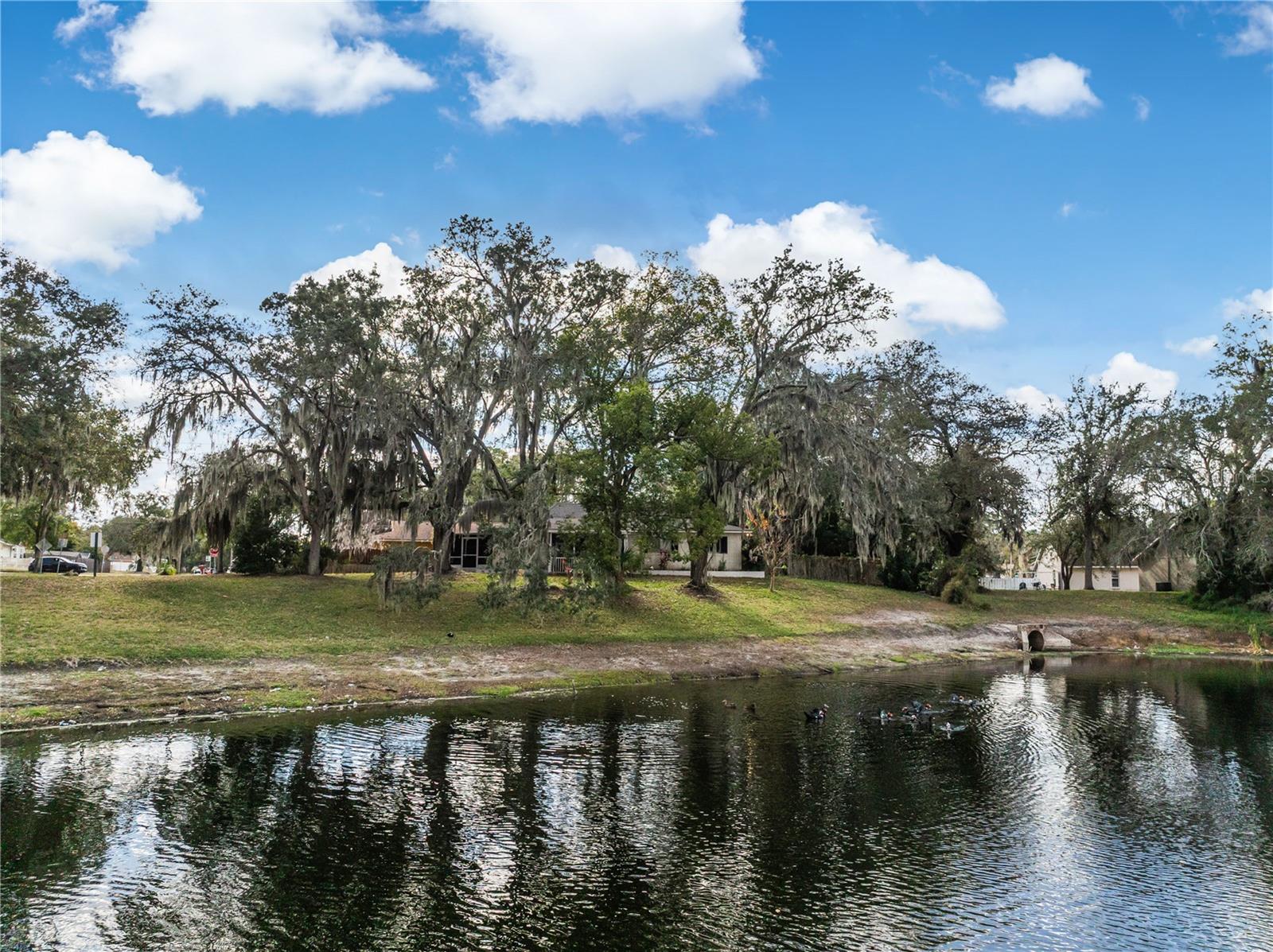 VILLAS AT SIGNAL HILL - Residential
