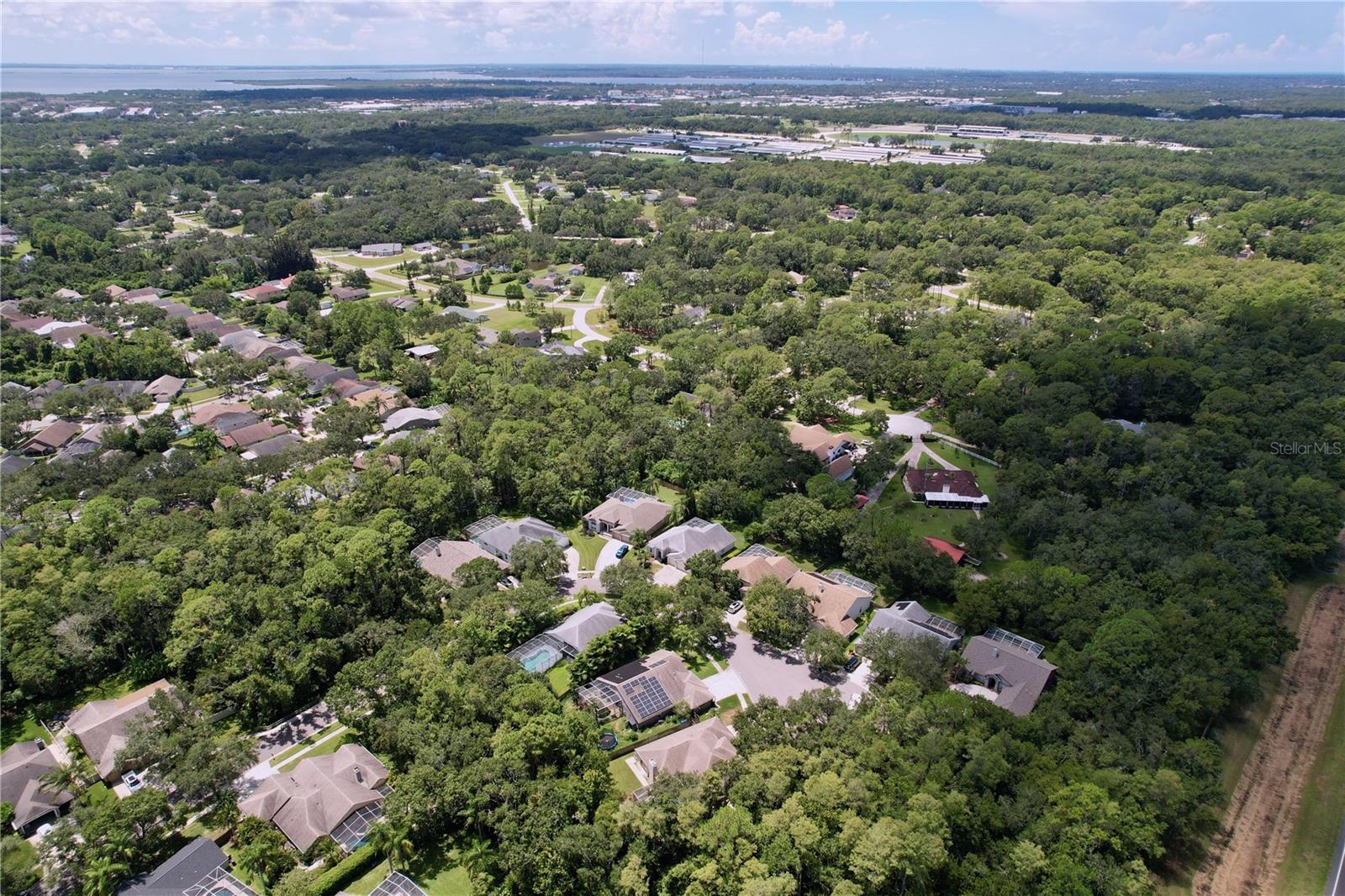 WESTCHASE SEC 117 - Residential