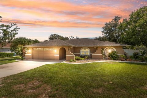 Photo of 14008 N Bruni Drive, Spring Hill, FL 34609 (MLS # W7878113)