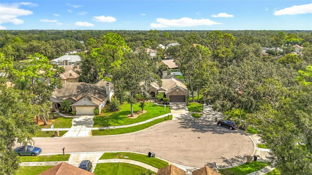 Photo of 3810 Hollow Wood Dr, Valrico, FL 33596 (MLS # TB8428417)
