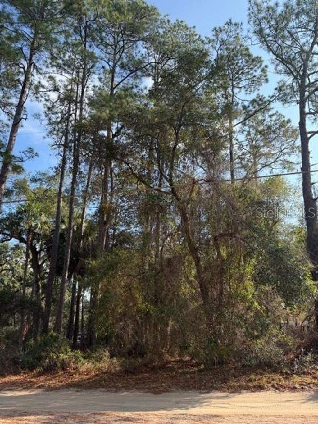 Photo of Tbd NE 236 Terrace, Fort Mccoy, FL 32134 (MLS # OM716278)