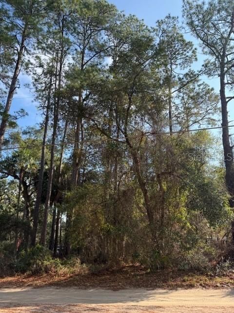 Photo of Tbd NE 236 Terrace, Fort Mccoy, FL 32134 (MLS # OM716278)