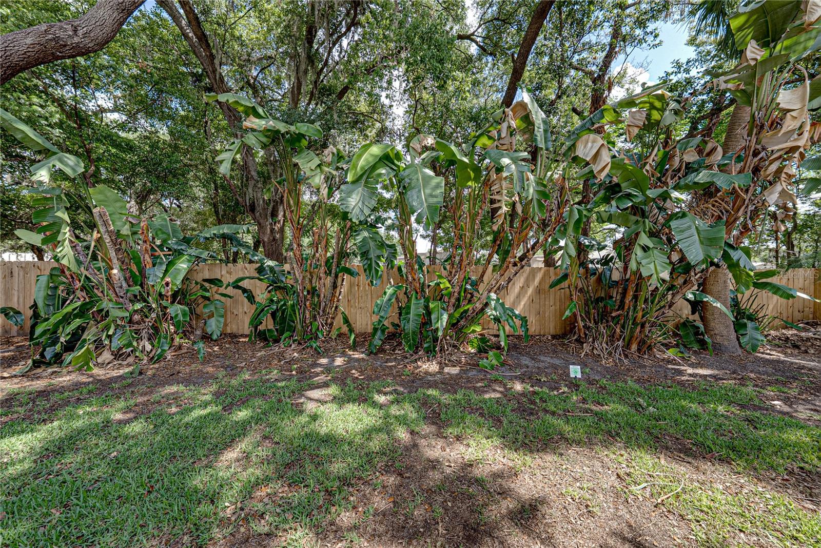 BLOOMINGDALE OAKS - Residential