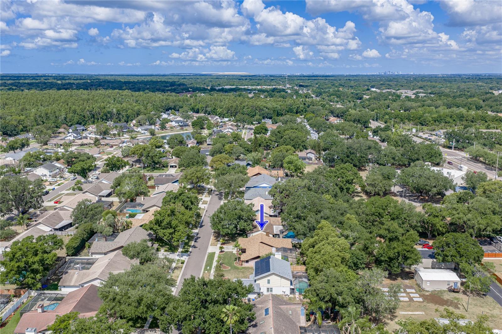 BLOOMINGDALE OAKS - Residential