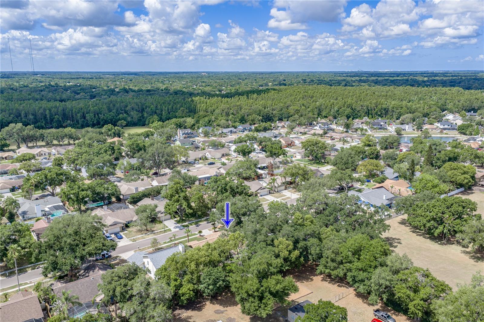 BLOOMINGDALE OAKS - Residential