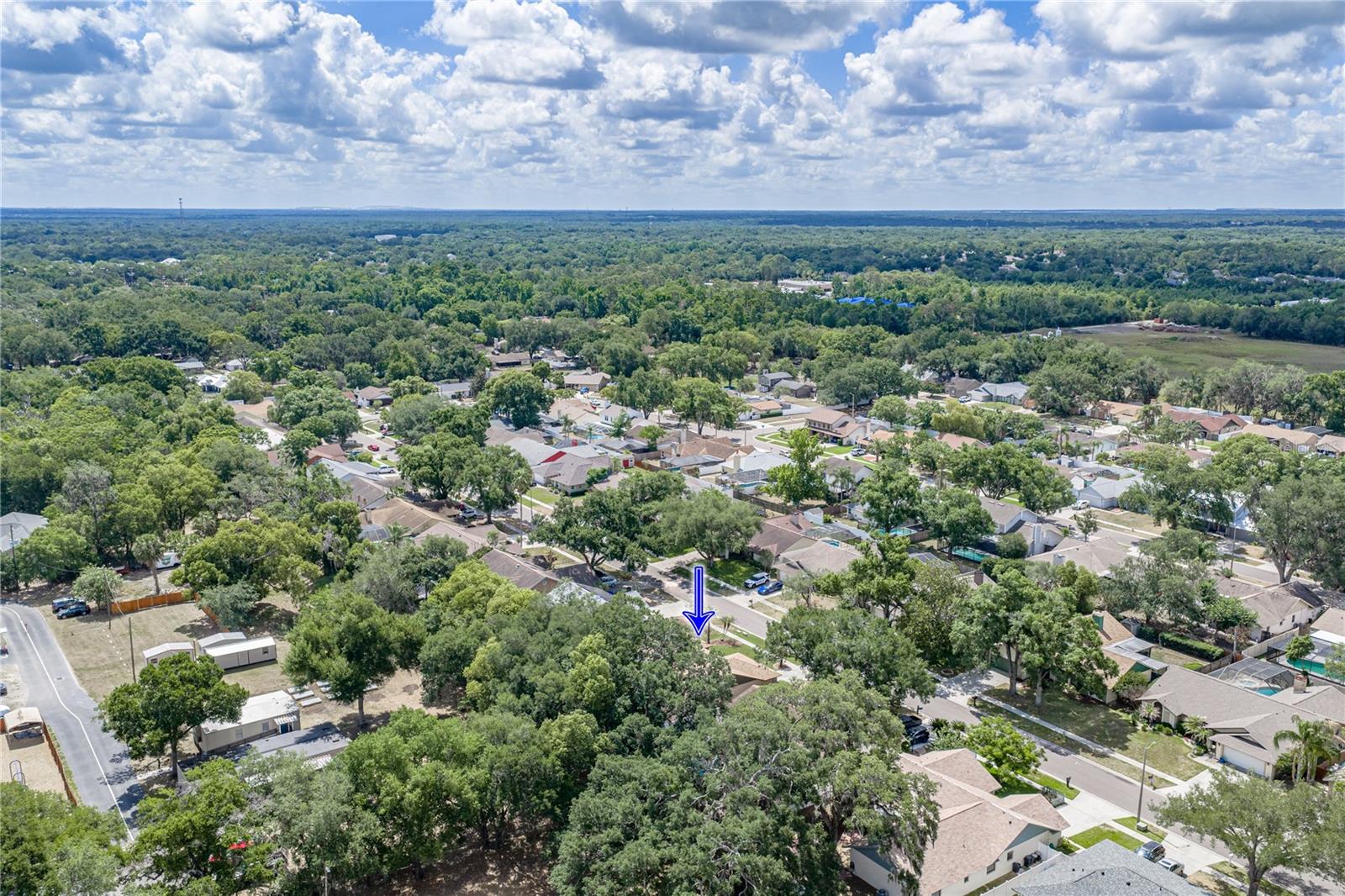 BLOOMINGDALE OAKS - Residential