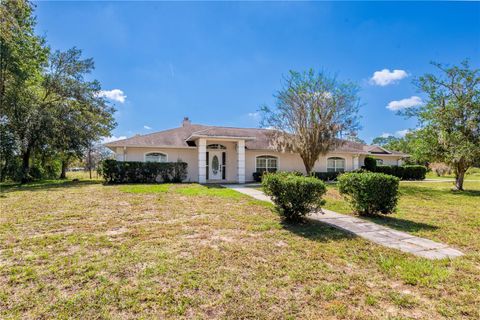 Photo of 899 NE 10th Circle, Williston, FL 32696 (MLS # GC534966)