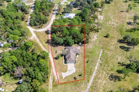 Photo of 899 NE 10th Circle, Williston, FL 32696 (MLS # GC534966)