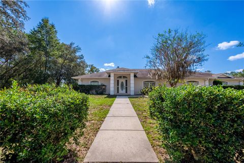 Photo of 899 NE 10th Circle, Williston, FL 32696 (MLS # GC534966)