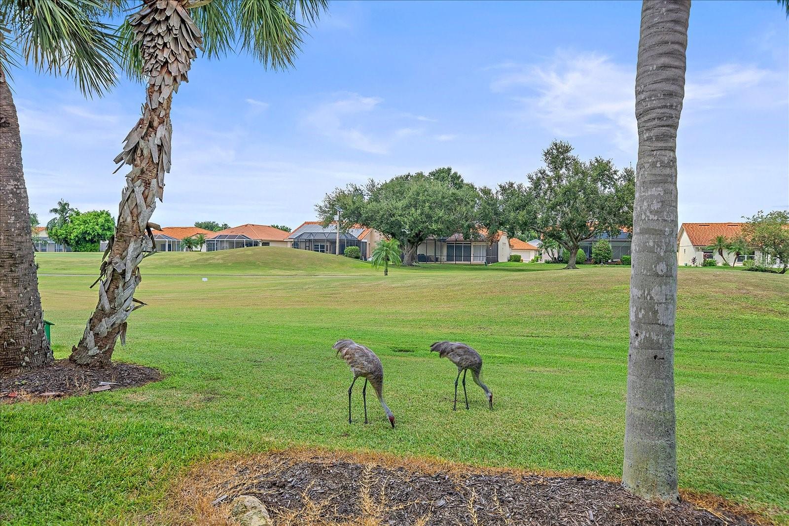 FAIRWAY TRACE AT PERIDIA II PH 7 - Residential