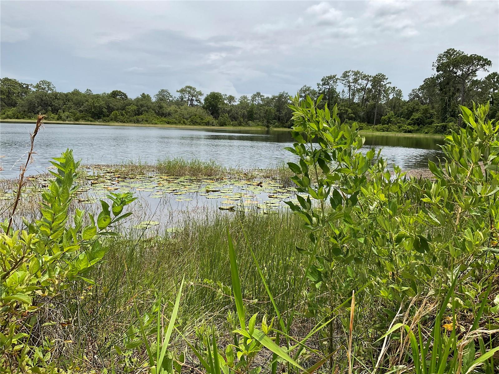 Discover the perfect canvas for your dream lakeside retreat on this .33-acre lot, boasting 154 feet of pristine lake frontage along a serene 17-acre lake. With no public access, this exclusive setting ensures unparalleled privacy and tranquility, allowing you to fully immerse yourself in the natural beauty that surrounds you. Imagine waking up to panoramic water views, enjoying peaceful mornings, and creating lasting memories in your own secluded paradise. This unique opportunity offers the ideal blend of seclusion and convenience, providing a rare chance to build a custom home tailored to your vision in an idyllic lakeside setting.