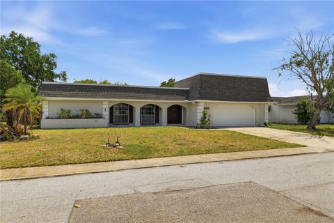 Photo of 4018 Cashmere Drive, New Port Richey, FL 34652 (MLS # TB8501993)
