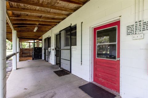 Tiny photo for 6980 SW 72nd Court, Ocala, FL 34476 (MLS # OM692031)