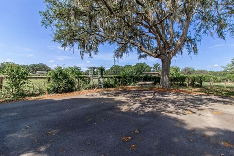 Tiny photo for 6980 SW 72nd Court, Ocala, FL 34476 (MLS # OM692031)